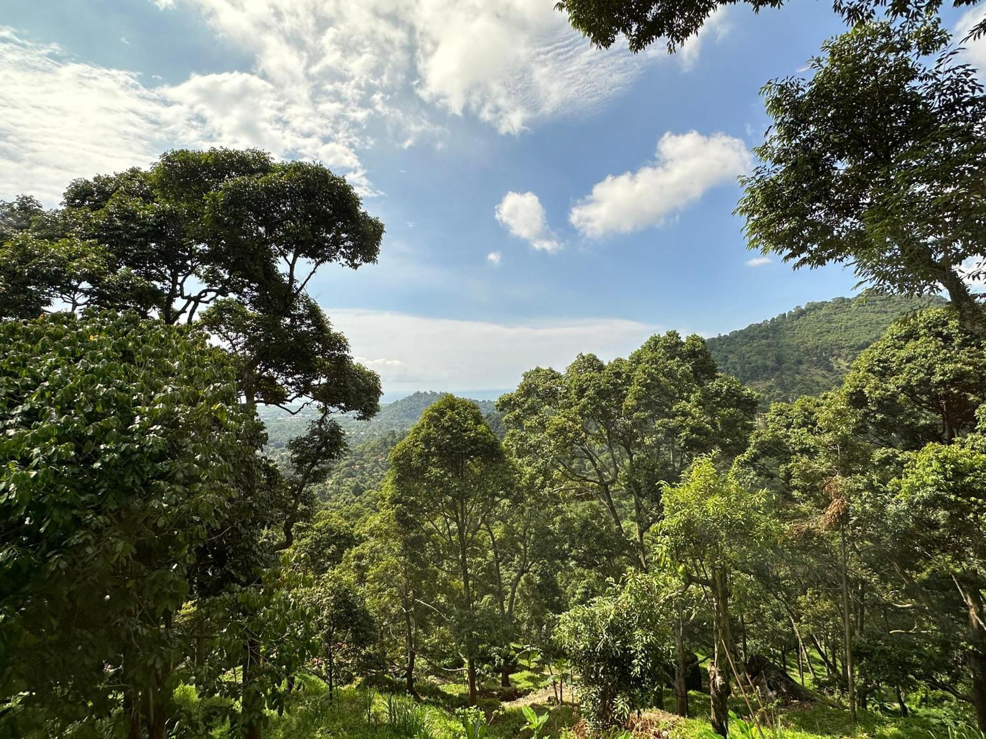 Bao Sheng Durian Farm Βίλα Balik Pulau Εξωτερικό φωτογραφία